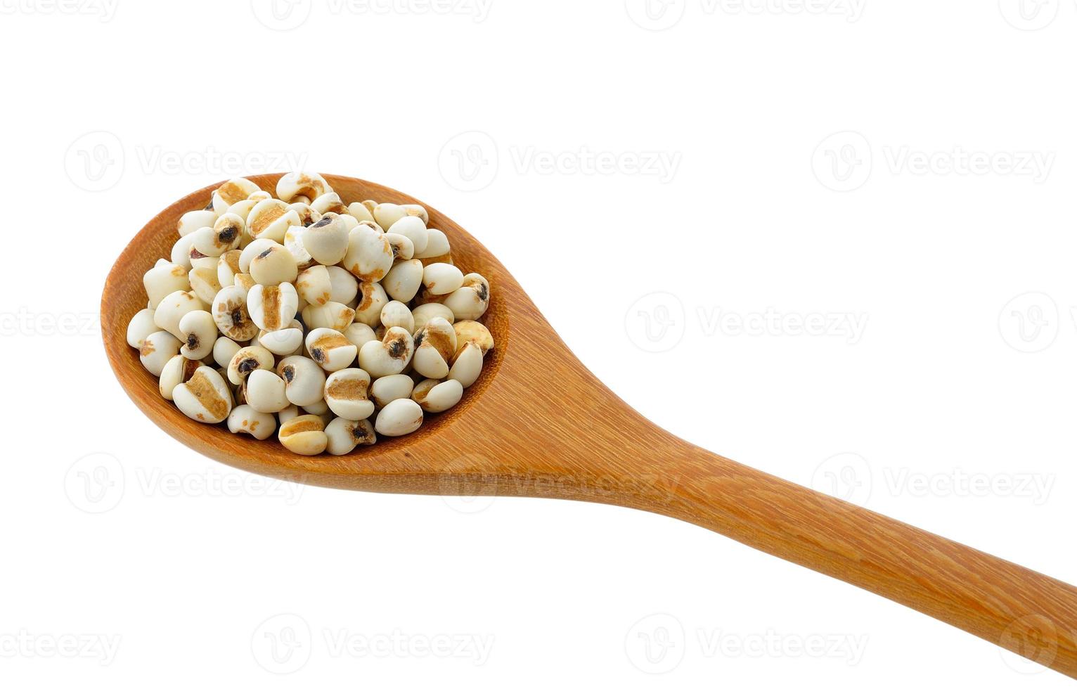 Millet in wood spoon isolated on white background photo