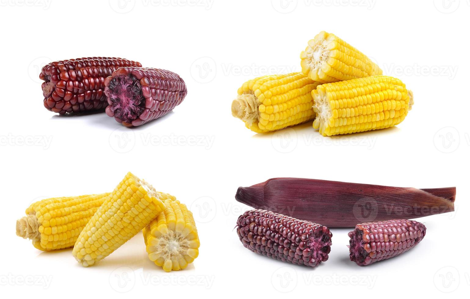 purple corn isolated on white background photo