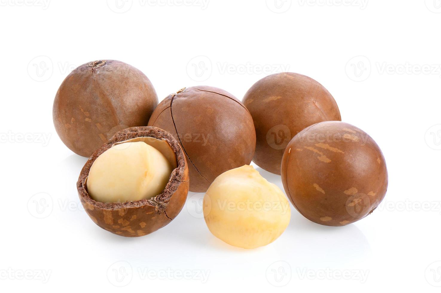 macadamia nuts isolated on white background. photo