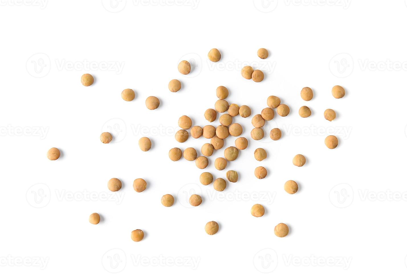 lentils  on white background photo