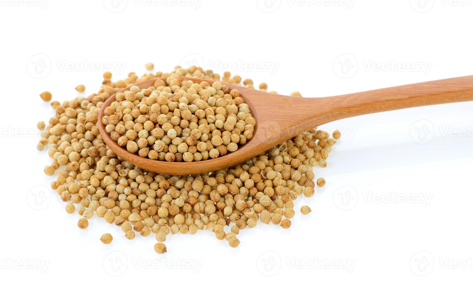 Coriander seeds in wood spoon on white background photo