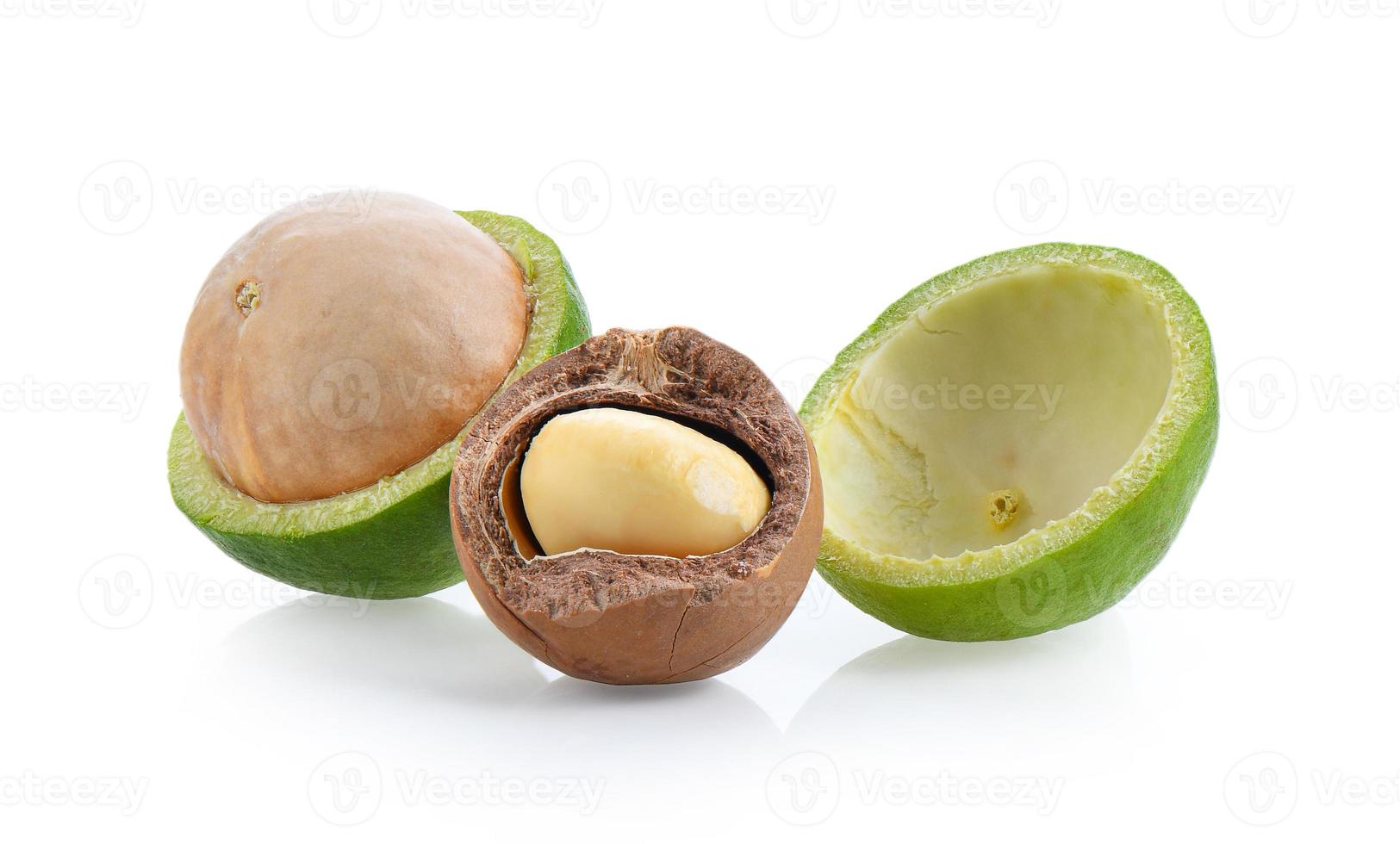 macadamia nuts with leaf isolated on white photo