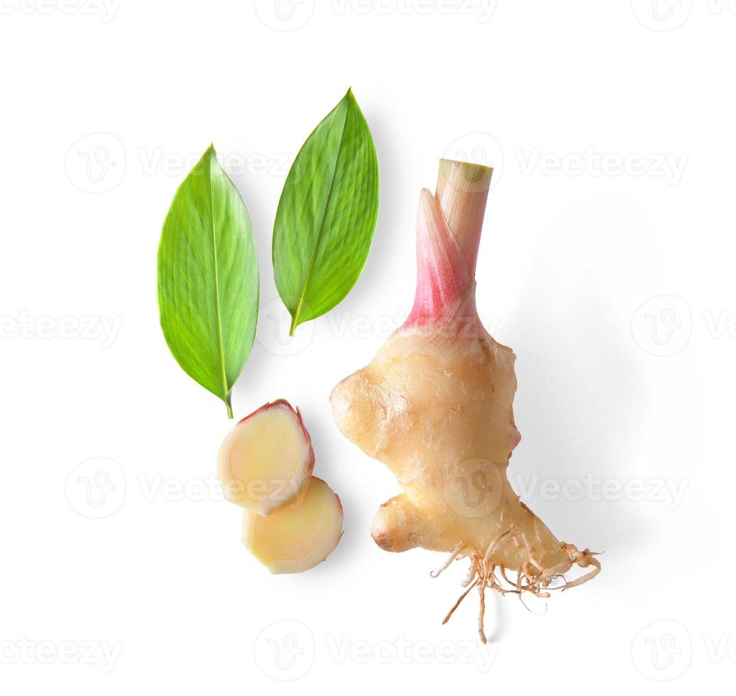 Ginger fresh with leaves Isolated on a white background photo