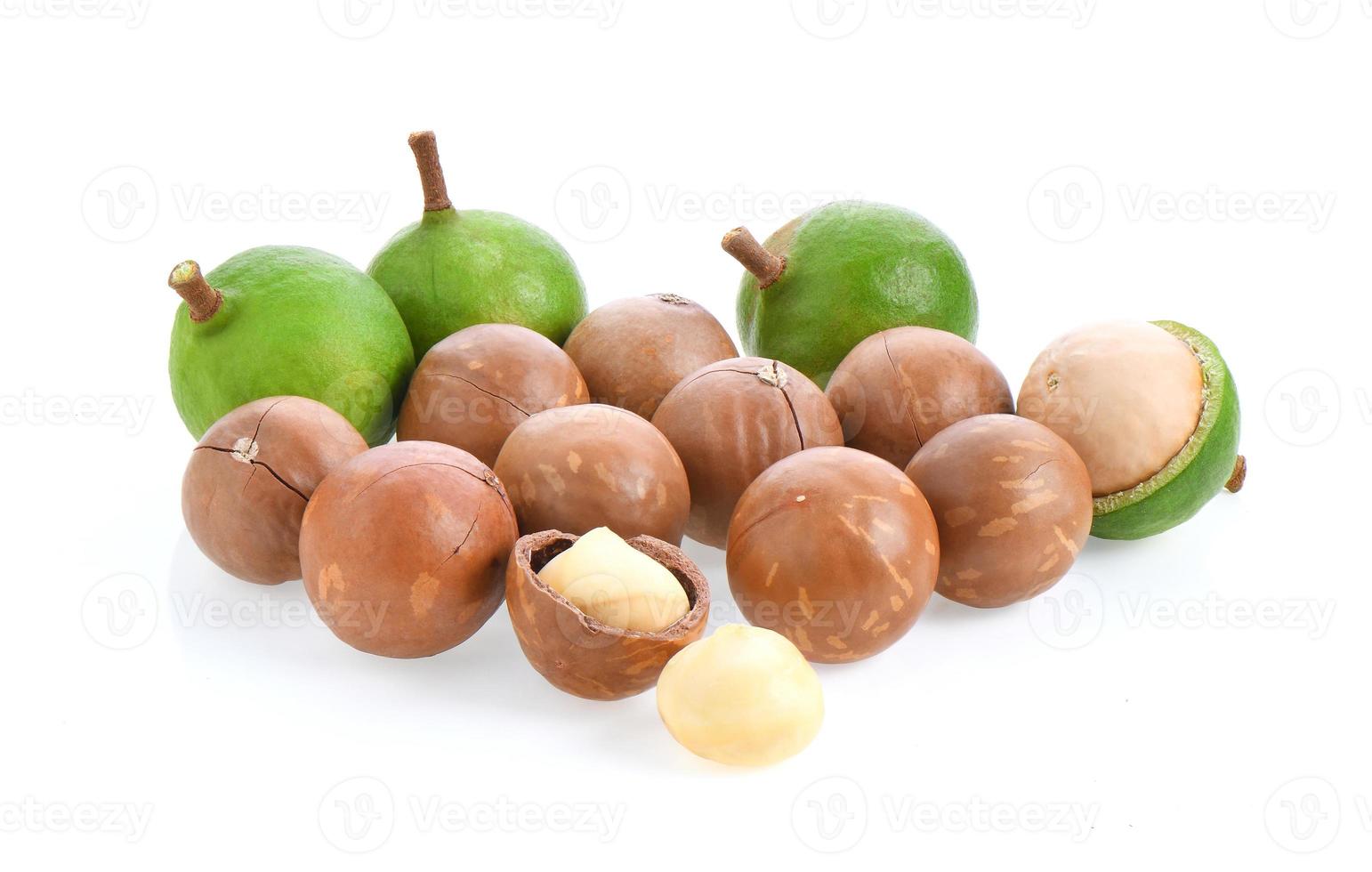 macadamia nuts isolated on white background. photo