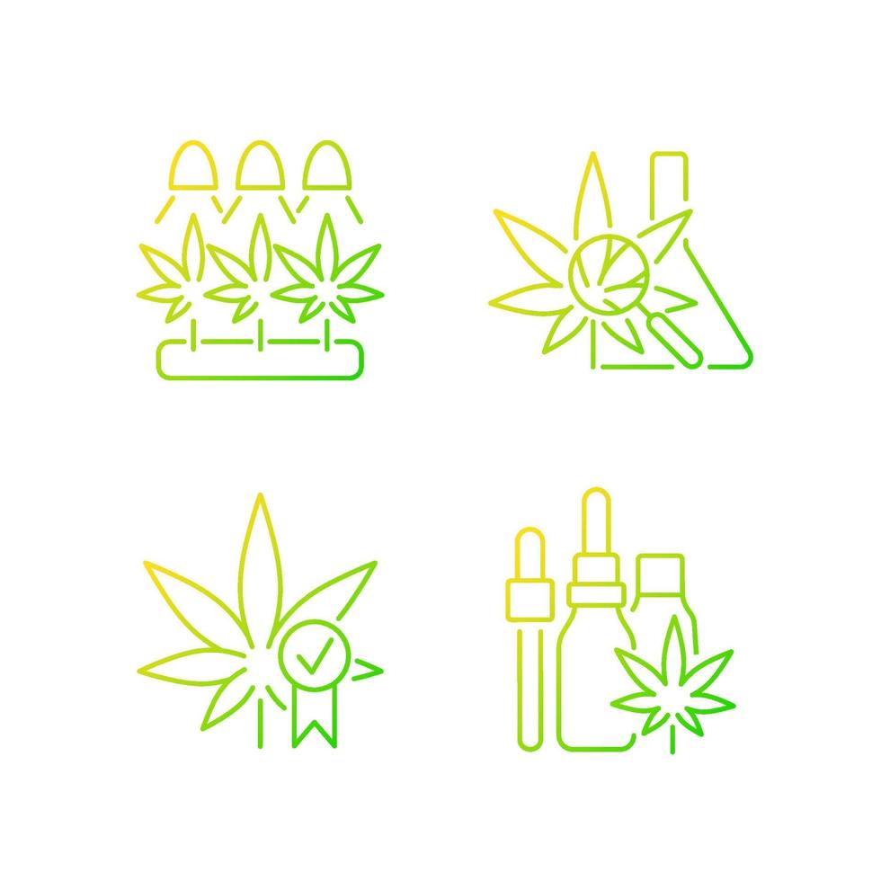 Cannabis growing gradient linear vector icons set. Medical research. Quality certification. Hemp oil tincture. Thin line contour symbols bundle. Isolated outline illustrations collection