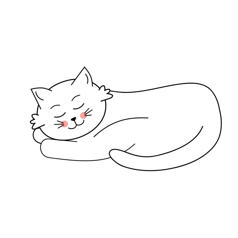 Cute sleeping white cat. vector