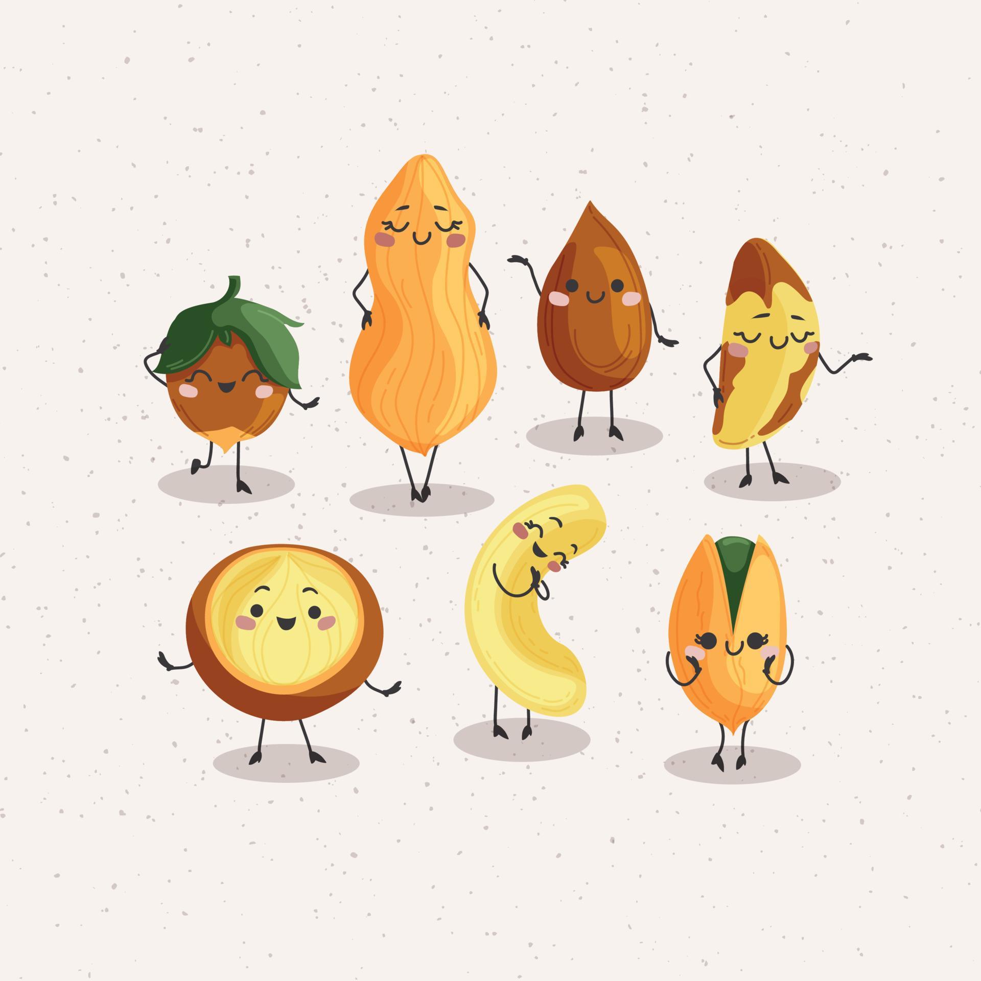 Vector set of nuts. Peanuts, almonds, walnuts, hazelnuts, pistachio, brazil nuts, macadamias