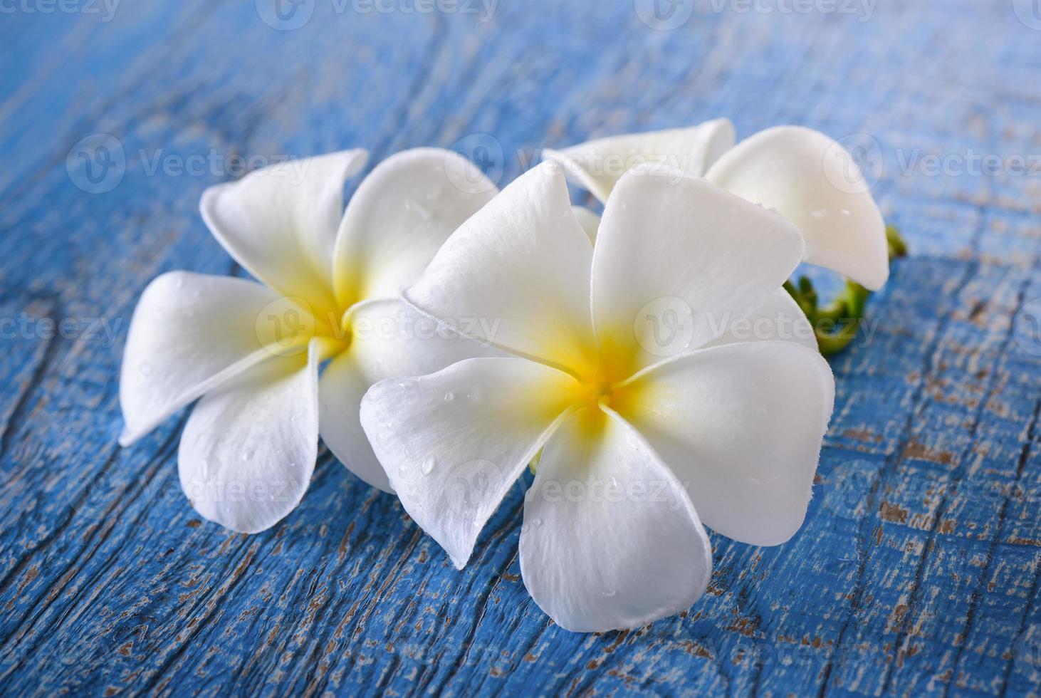 flor de frangipani en la mesa foto