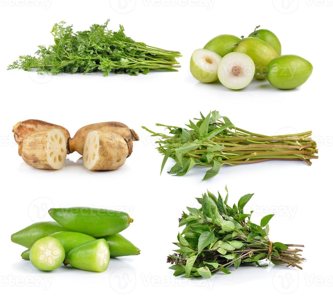 coriander, Madan tropical, Lotus root, morning glory, Monkey apple on white background photo