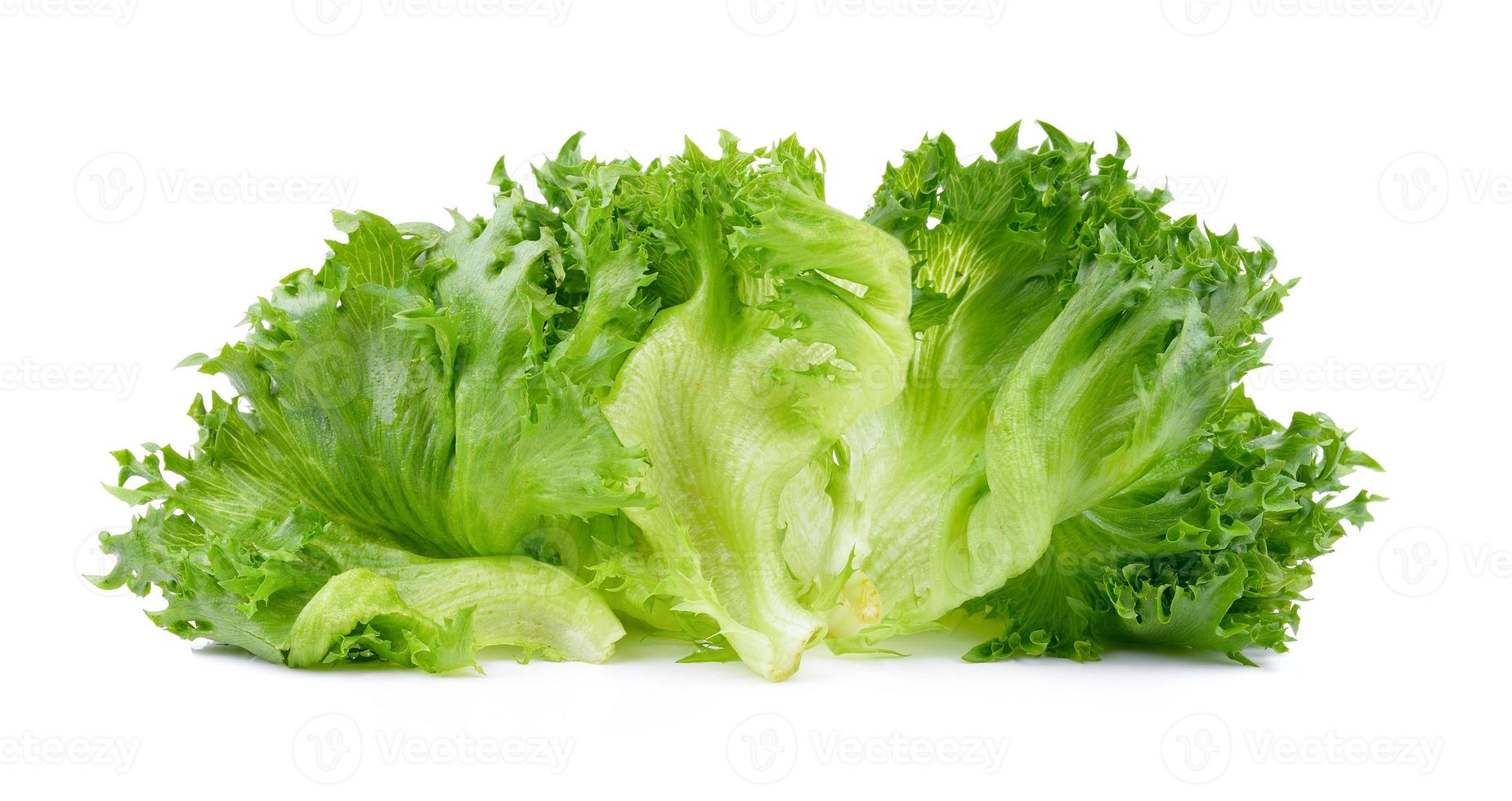 fresh lettuce leaves photo
