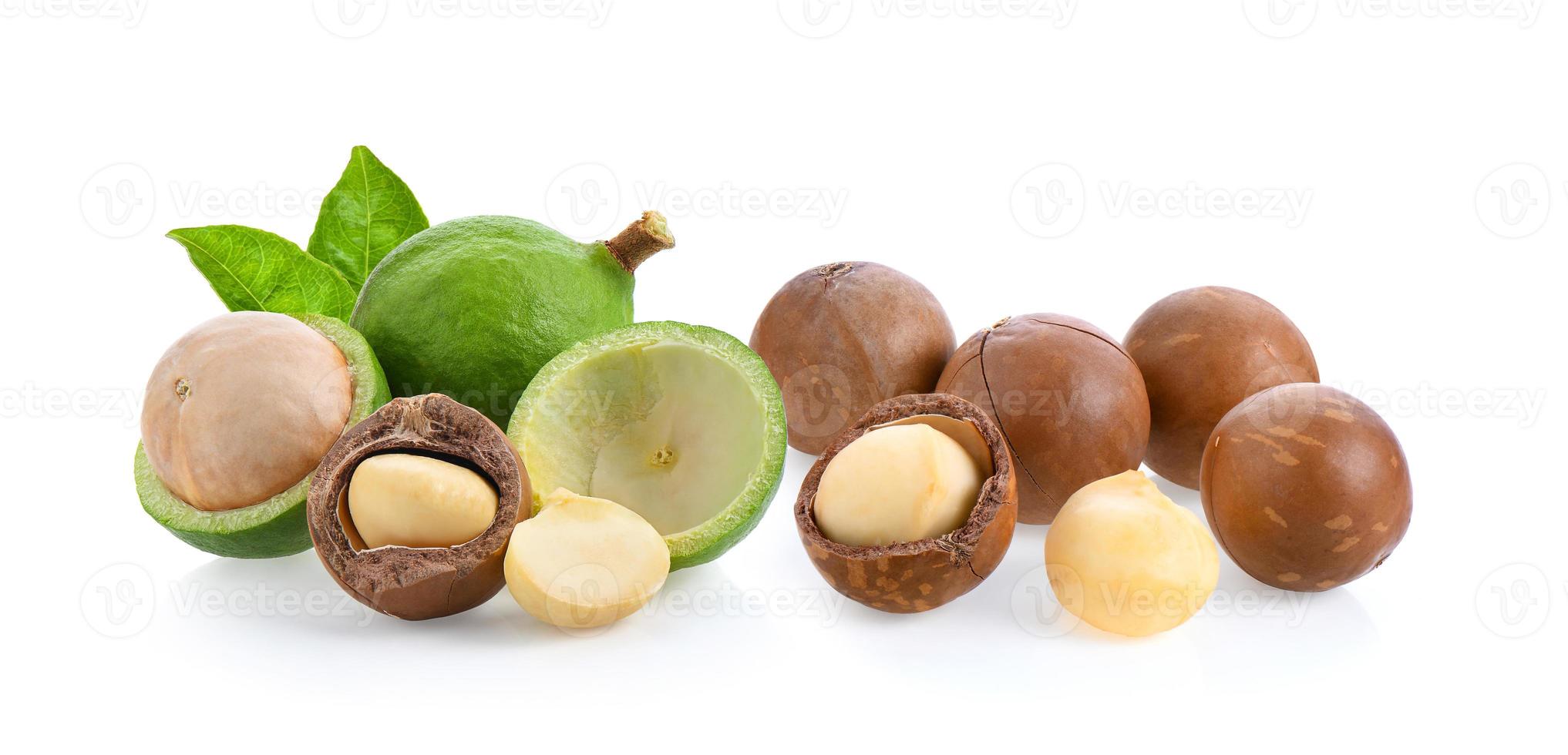 macadamia nuts isolated on white background. photo