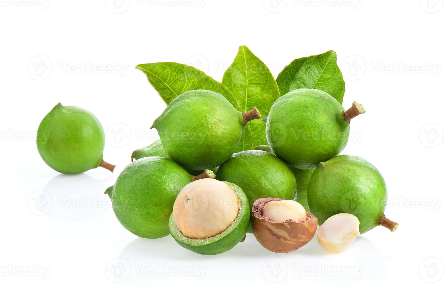 macadamia nuts with leaf isolated on white background. photo