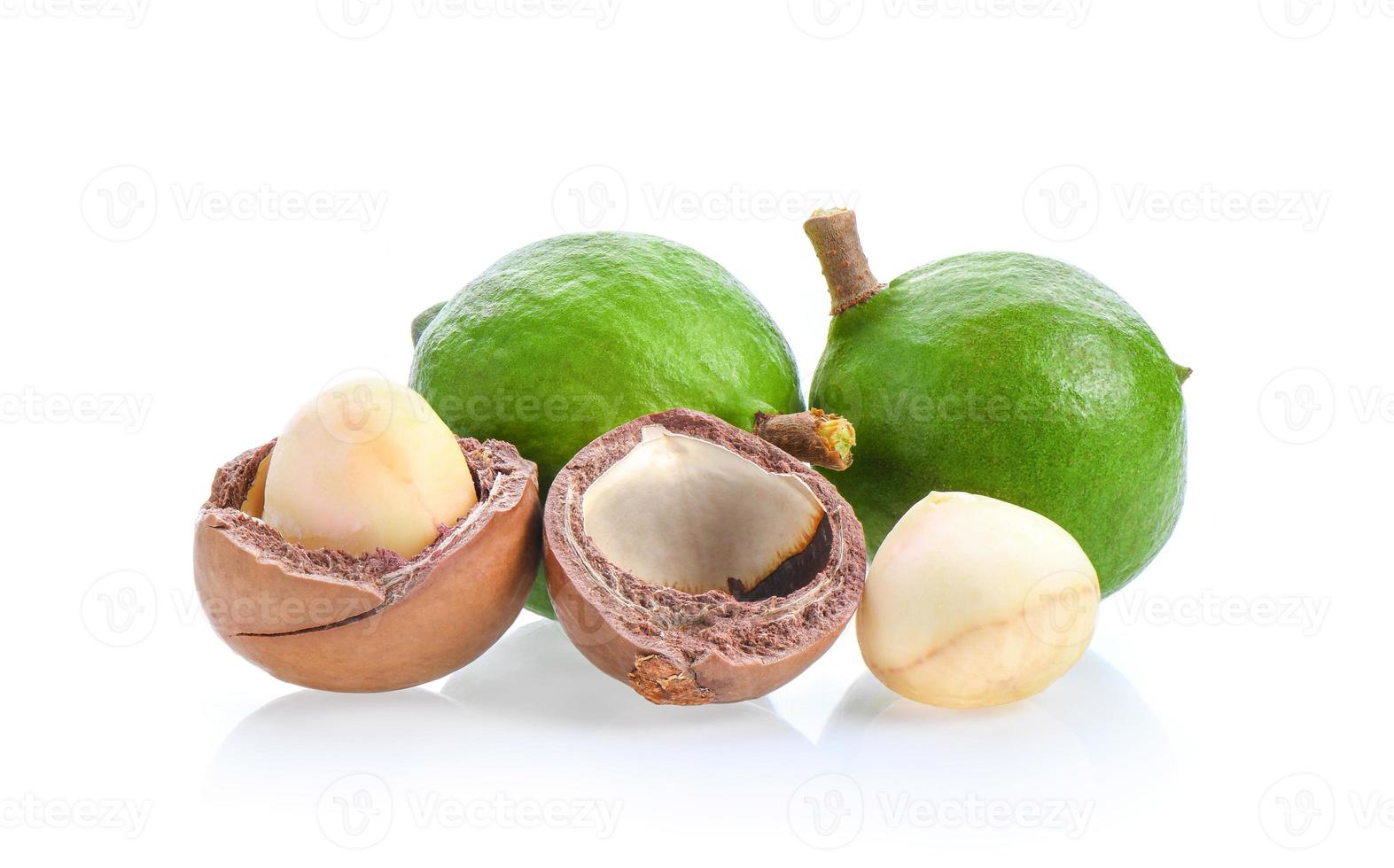 macadamia nuts isolated on white background. photo