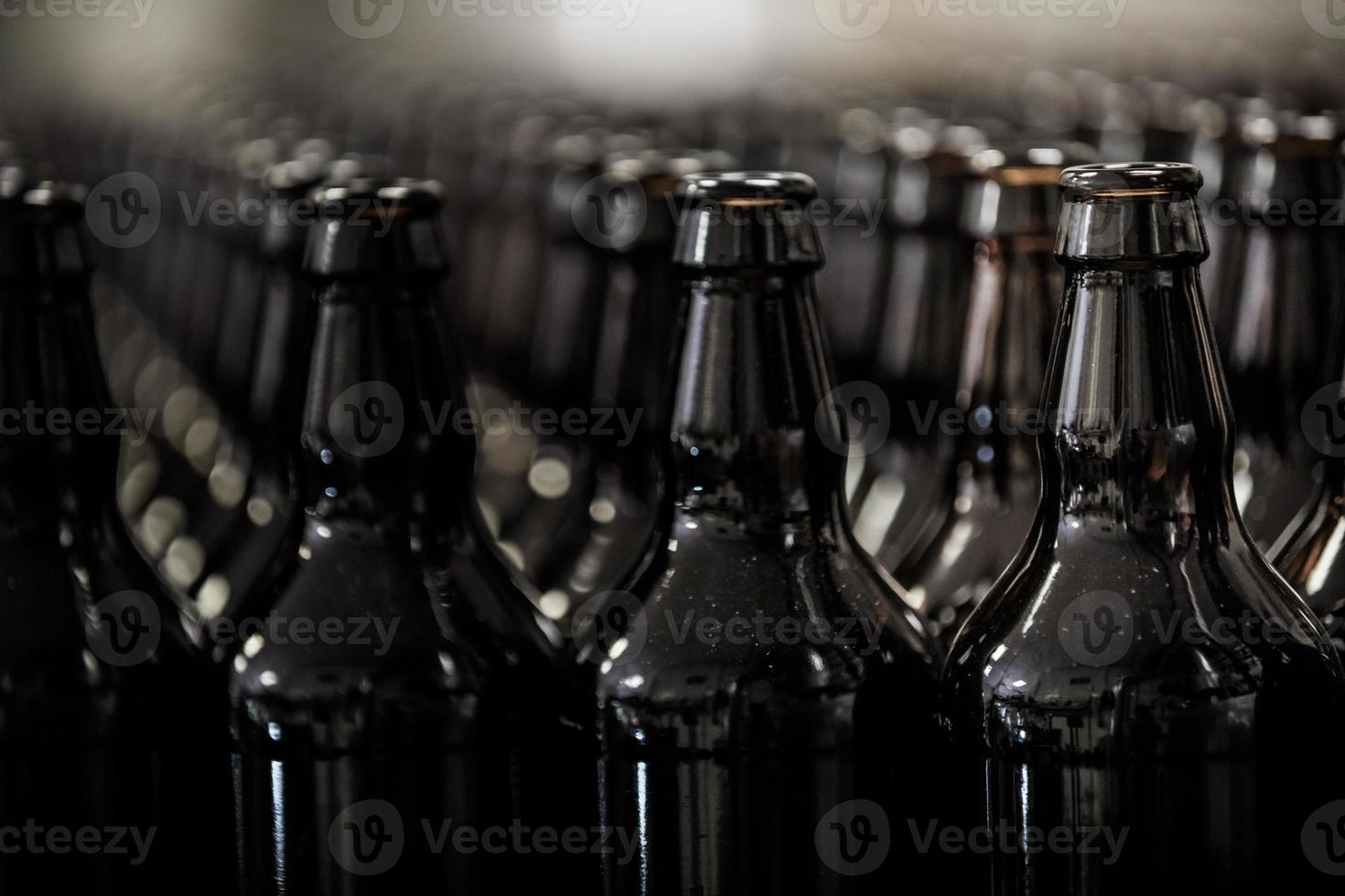Rows of bottles on microbrewery photo