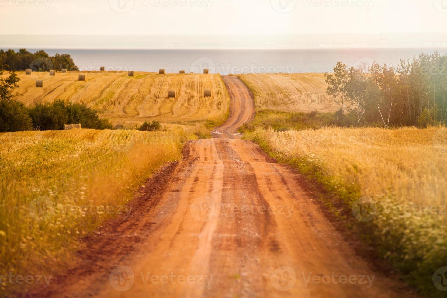 Rural road in the field photo