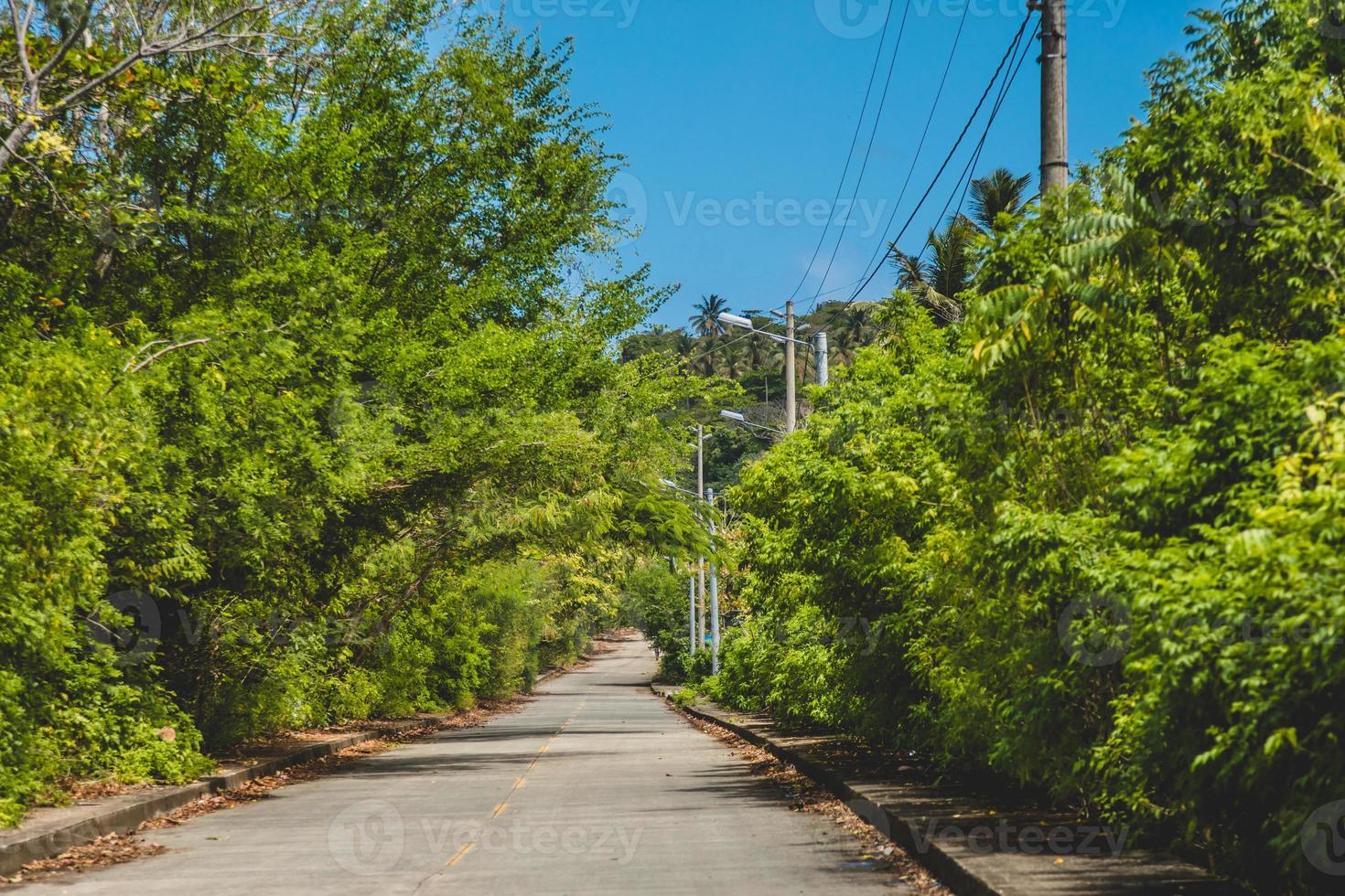 camino de la isla de san andrés foto