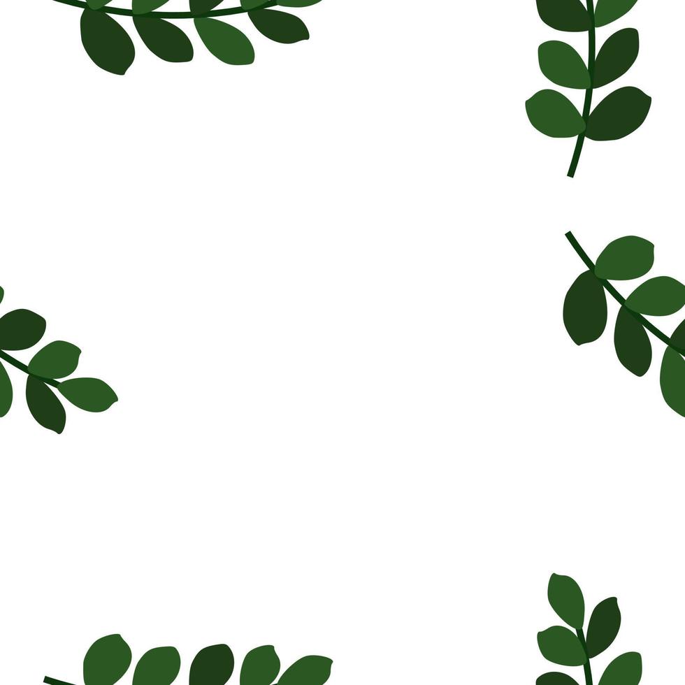 Seamless pattern of fern different tree, foliage natural branches, green leaves, herbs, tropical plant hand drawn. Vector fresh beauty rustic eco friendly background on white