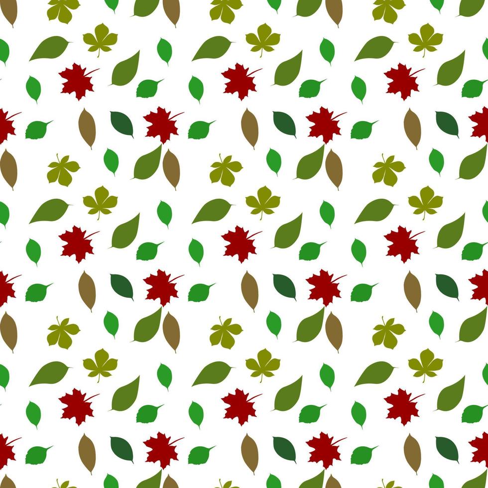 Seamless pattern of fern different tree, foliage natural branches, green leaves, herbs, tropical plant hand drawn. Vector fresh beauty rustic eco friendly background on white