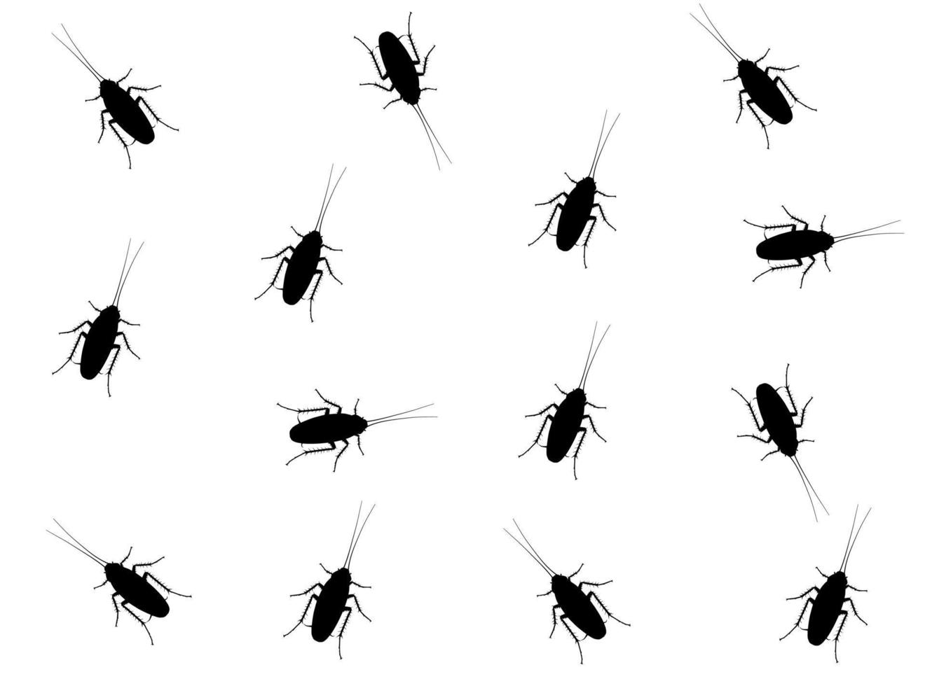 Vector. Silhouette of Cockroach on a white background. vector