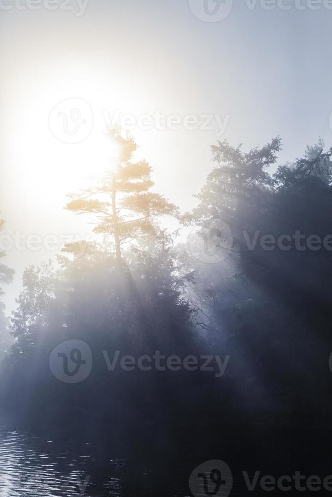 Calm Foggy Lake in the Morning photo