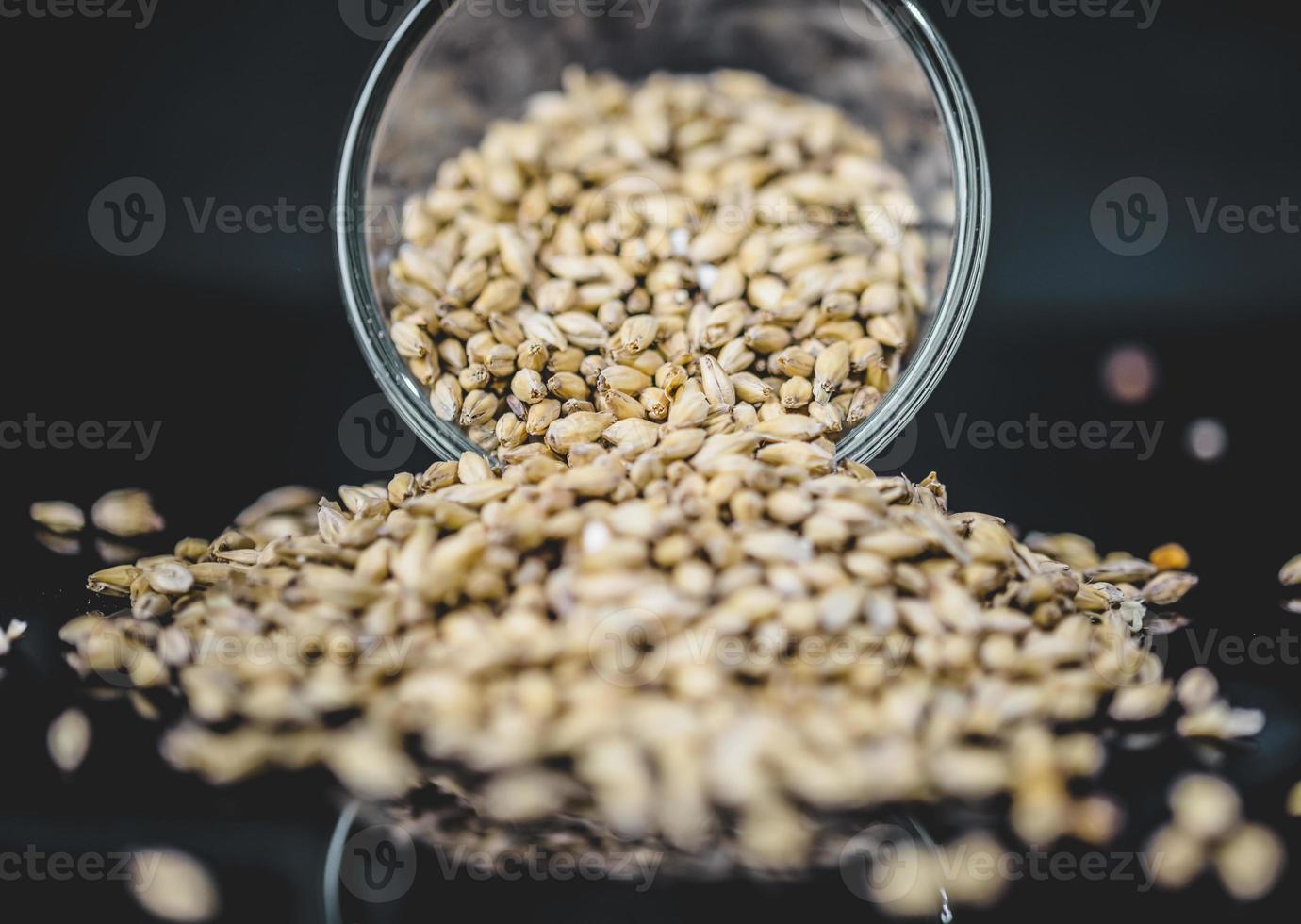 taza de textura de grano de cerveza de cebada malteada en estudio. foto