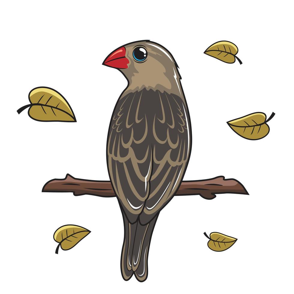 Quelea Bird Cartoon Illustration Isolated vector