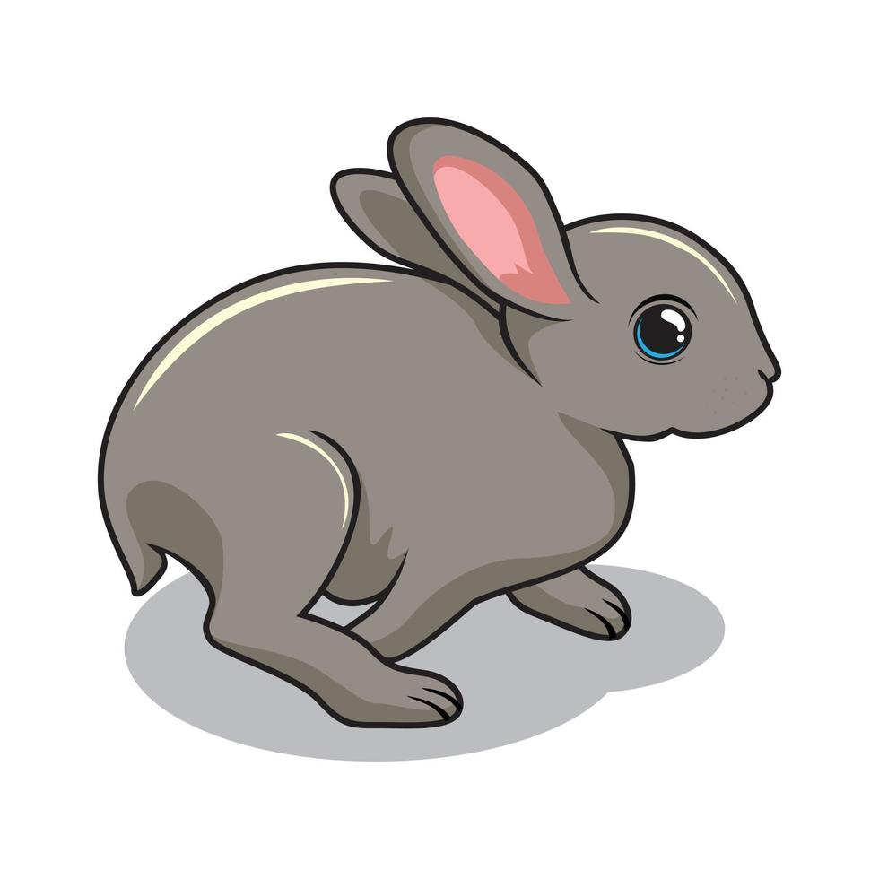 Rabbit Cartoon Bunny Illustration Isolated vector