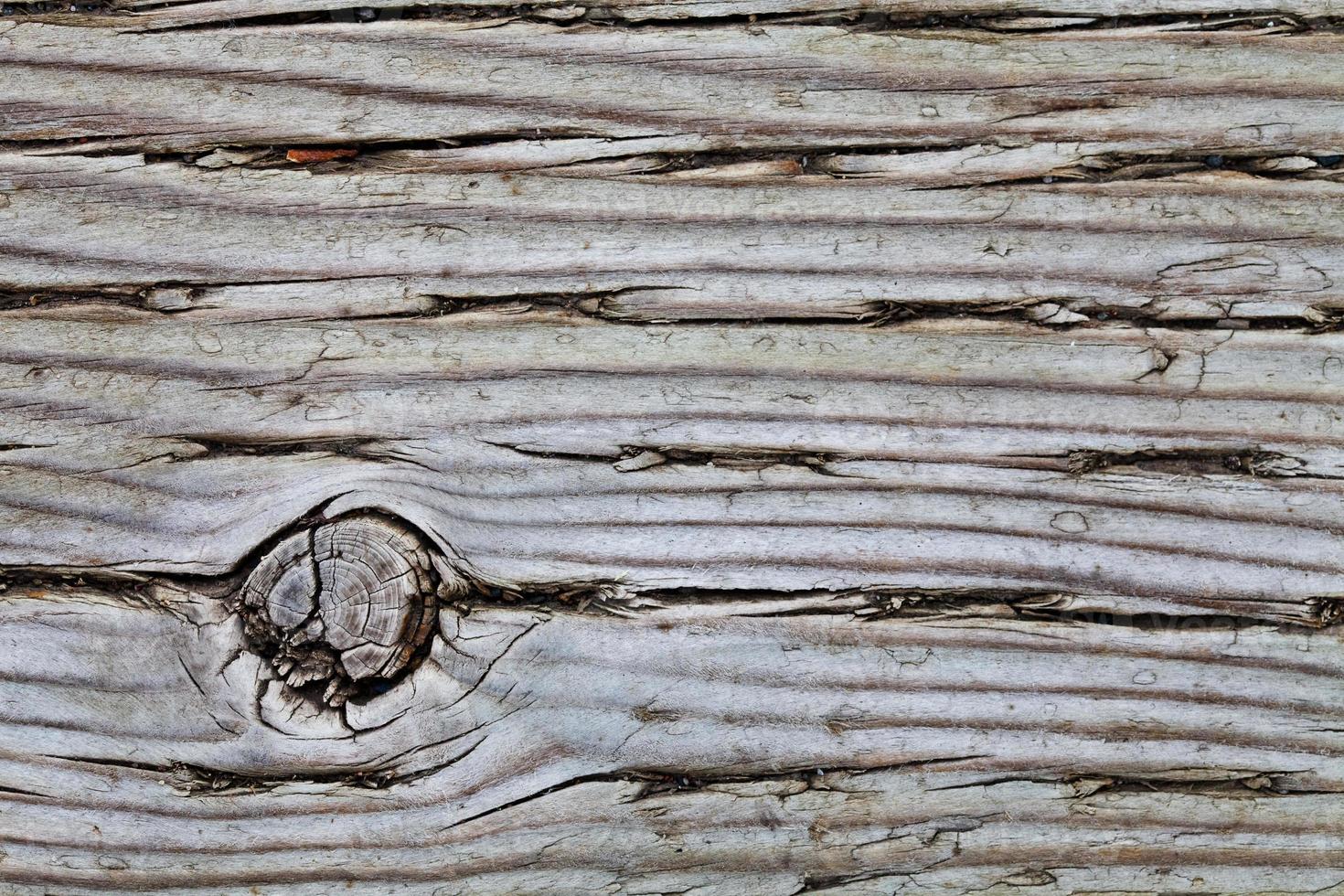 Vieja textura macro de madera tratada a presión foto