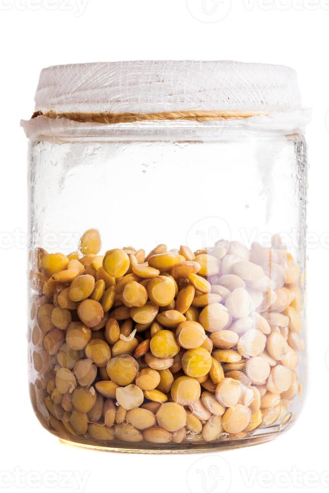 Wet Sprouting Lentils in a Glass Jar in a Glass Jar photo