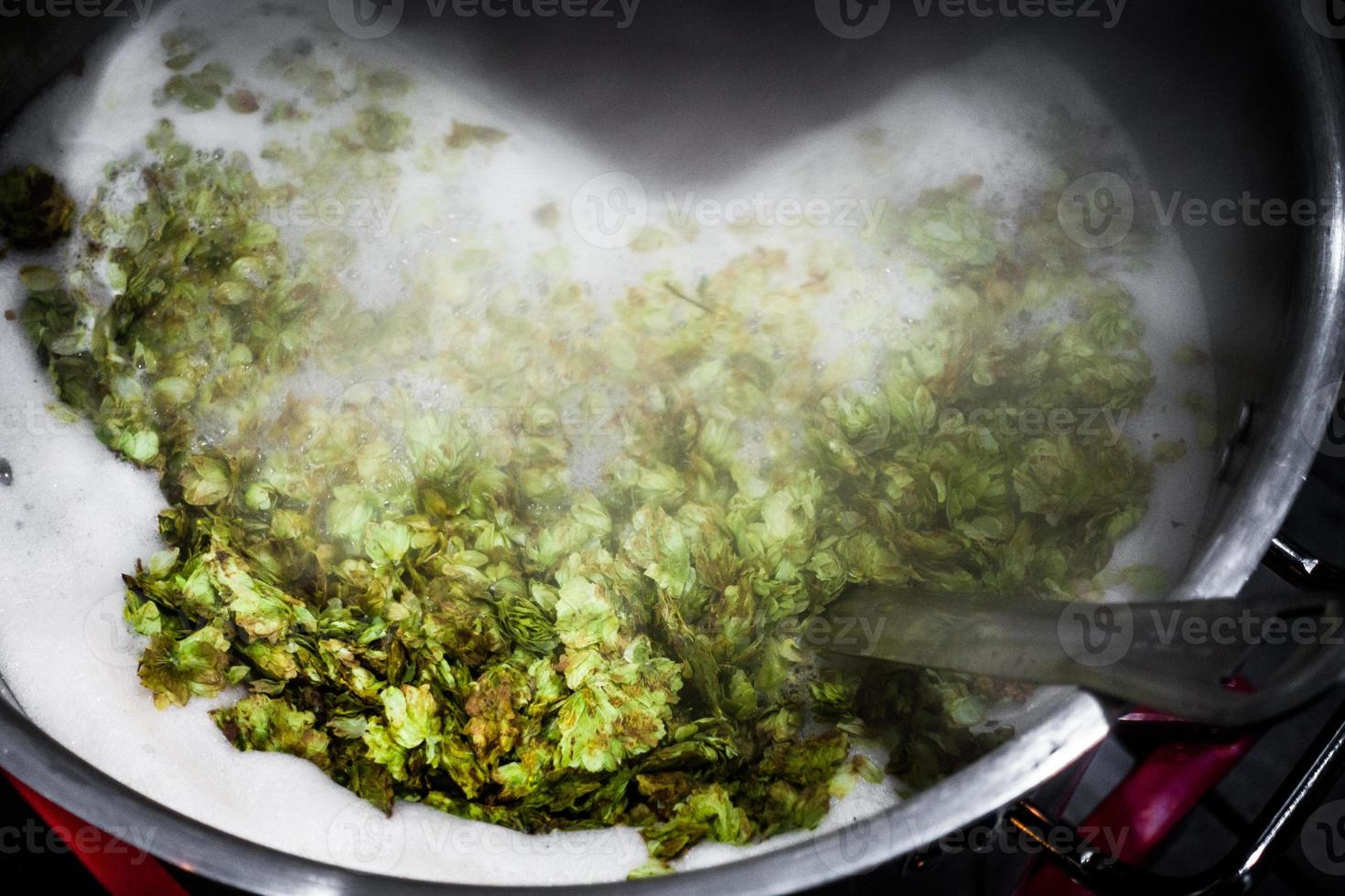 Homebrewer's Boiling Kettle on the burner with lots of whole dried hops addition. photo