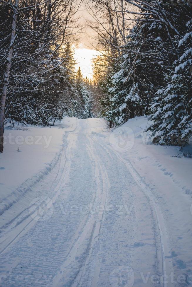 Snowmobile Path in the Wild Nature photo