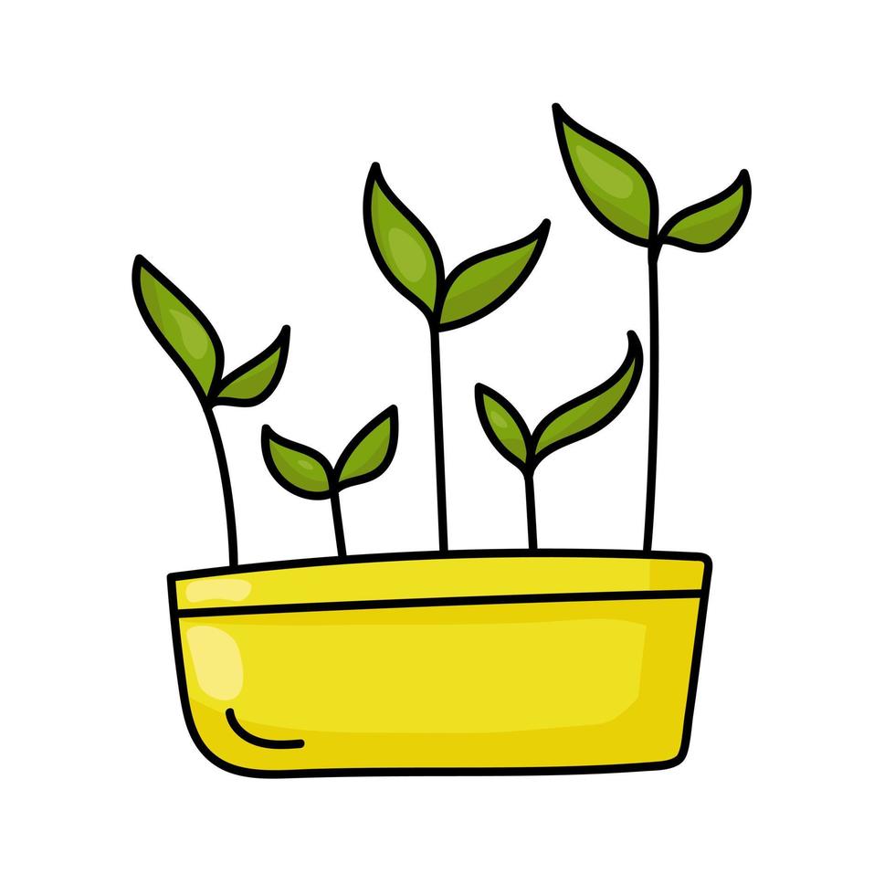 Greenery sprouts in a long yellow pot, young plants in doodle style vector