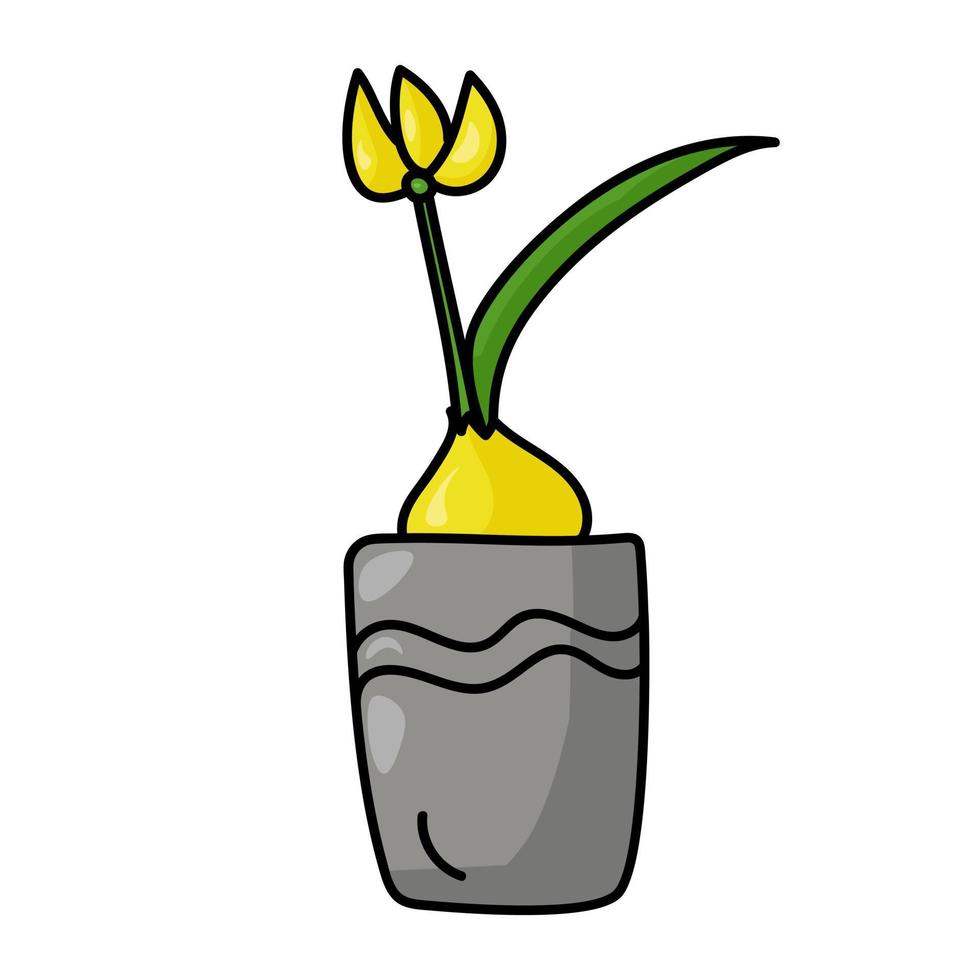 planta con flores bulbosa en maceta gris, planta de interior en estilo doodle vector