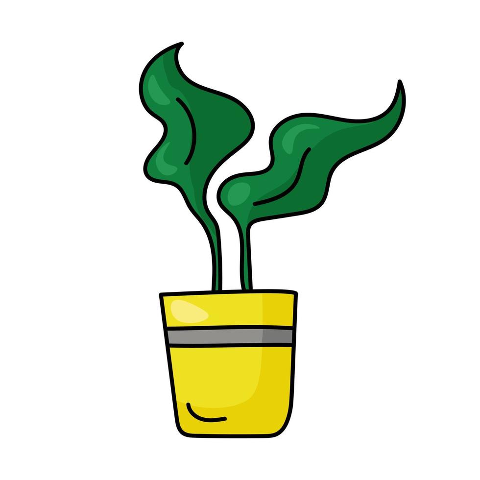 Plant in yellow pot with wide bright green leaves, houseplant in doodle style for design vector