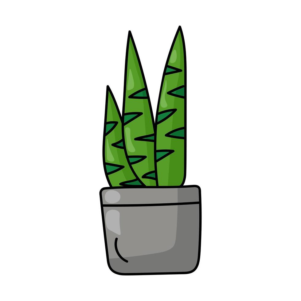 Planta en maceta en maceta gris, flor casera verde con hojas largas y brillantes moteadas en estilo doodle vector