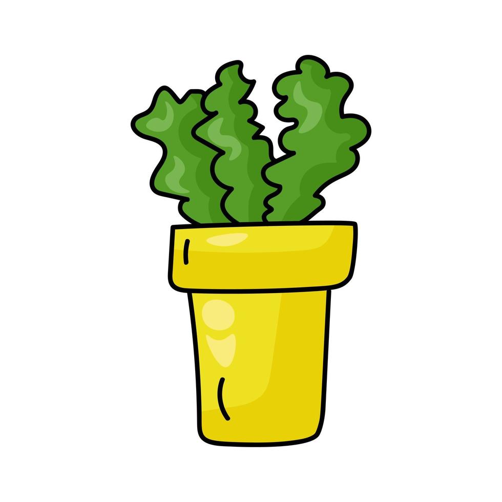 Potted plant with lush green wavy leaves in a bright yellow pot, home flower in doodle style vector