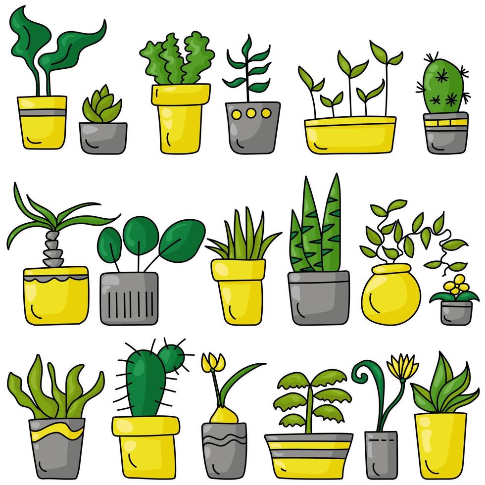 A set of indoor various plants in a doodle style, different types of blooming and not only indoor plants in bright gray and yellow pots vector