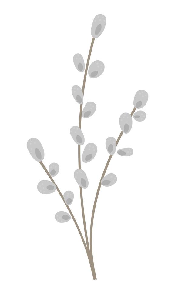 Vector illustration of pussy willow brunch isolated on white background. Easter traditional symbol and design element. Cute spring icon picture.