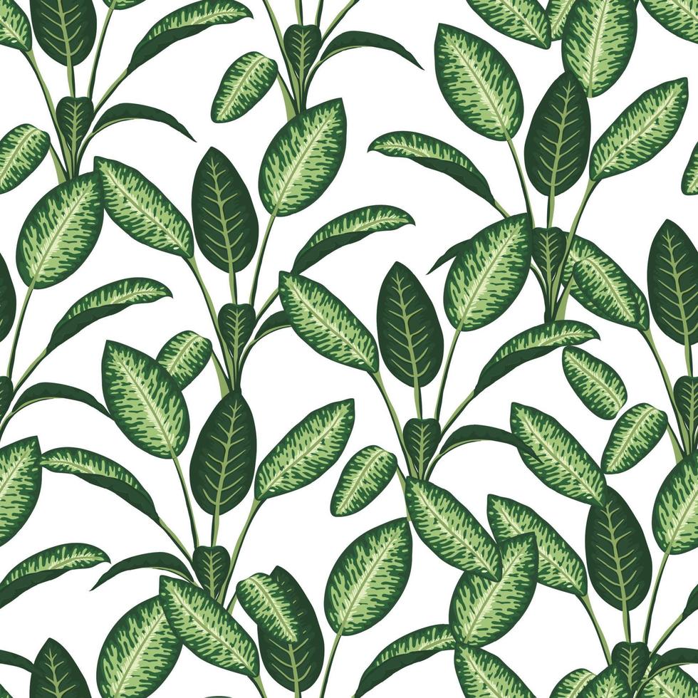 Vector seamless pattern of tropical plants on white background. Repeat tropical backdrop with dieffenbachia branches. Exotic jungle wallpaper