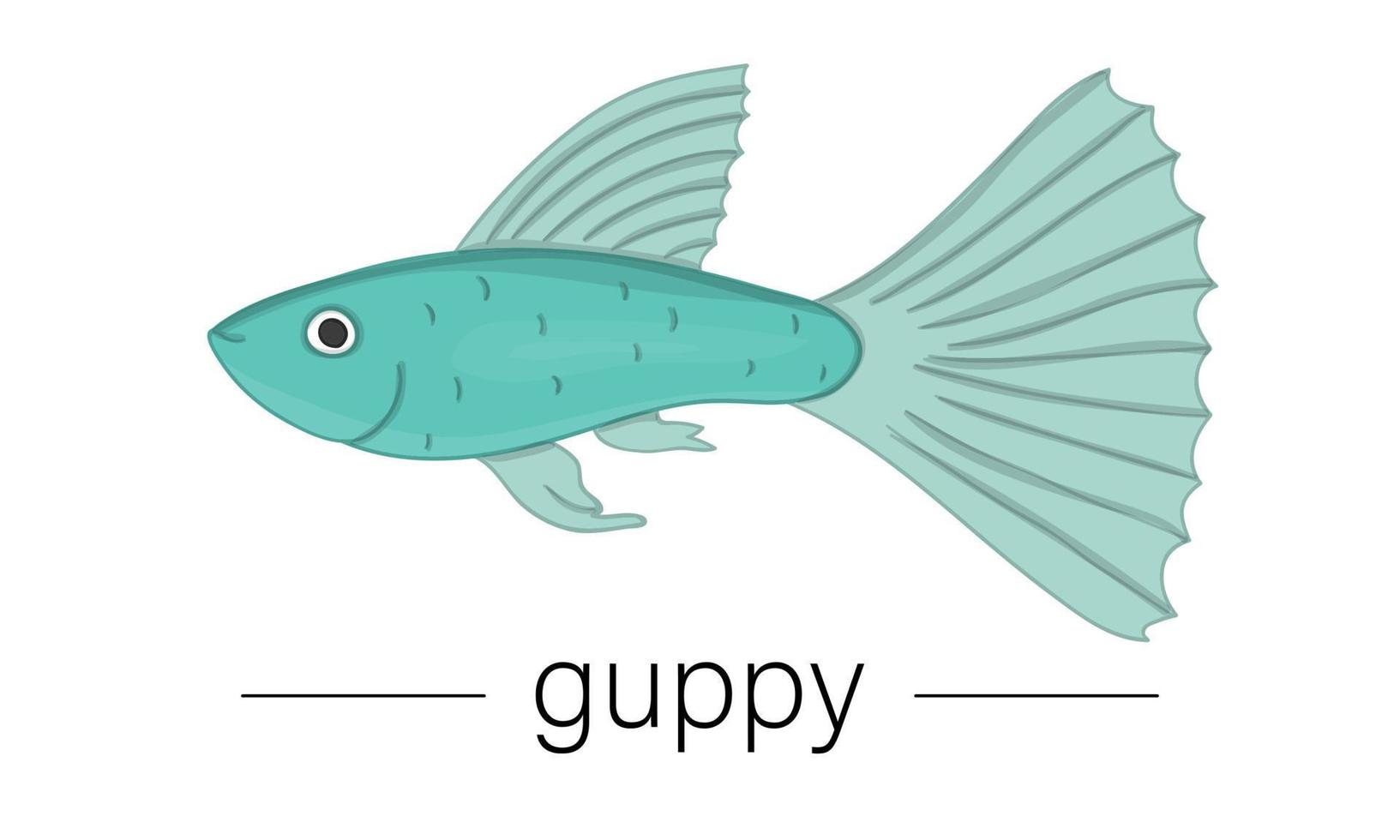 Vector colored illustration of aquarium fish. Cute picture of guppy for pet shops or children illustration