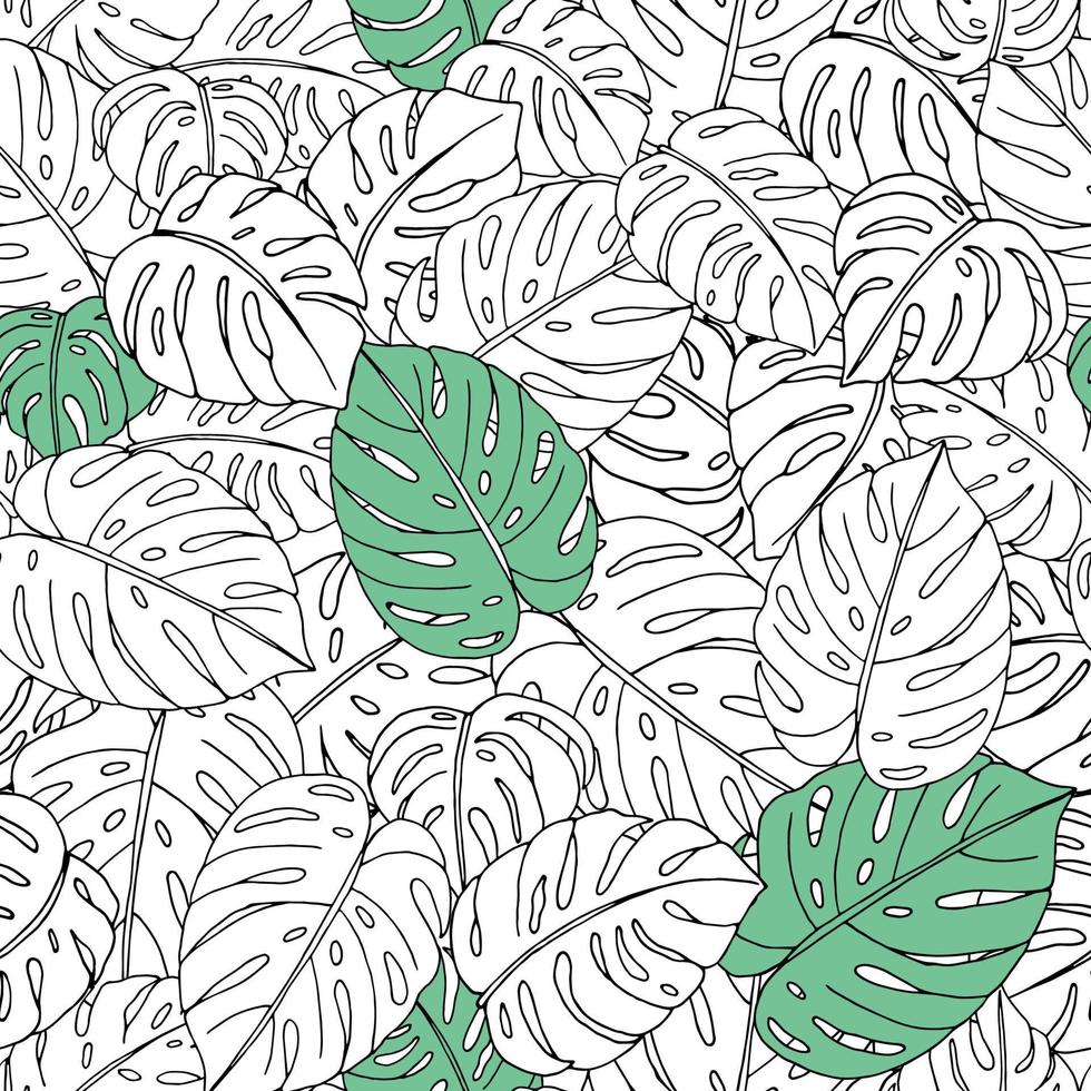 Vector seamless pattern of hand drawn monstera leaves on white background. Repeat tropical backdrop. Exotic jungle wallpaper