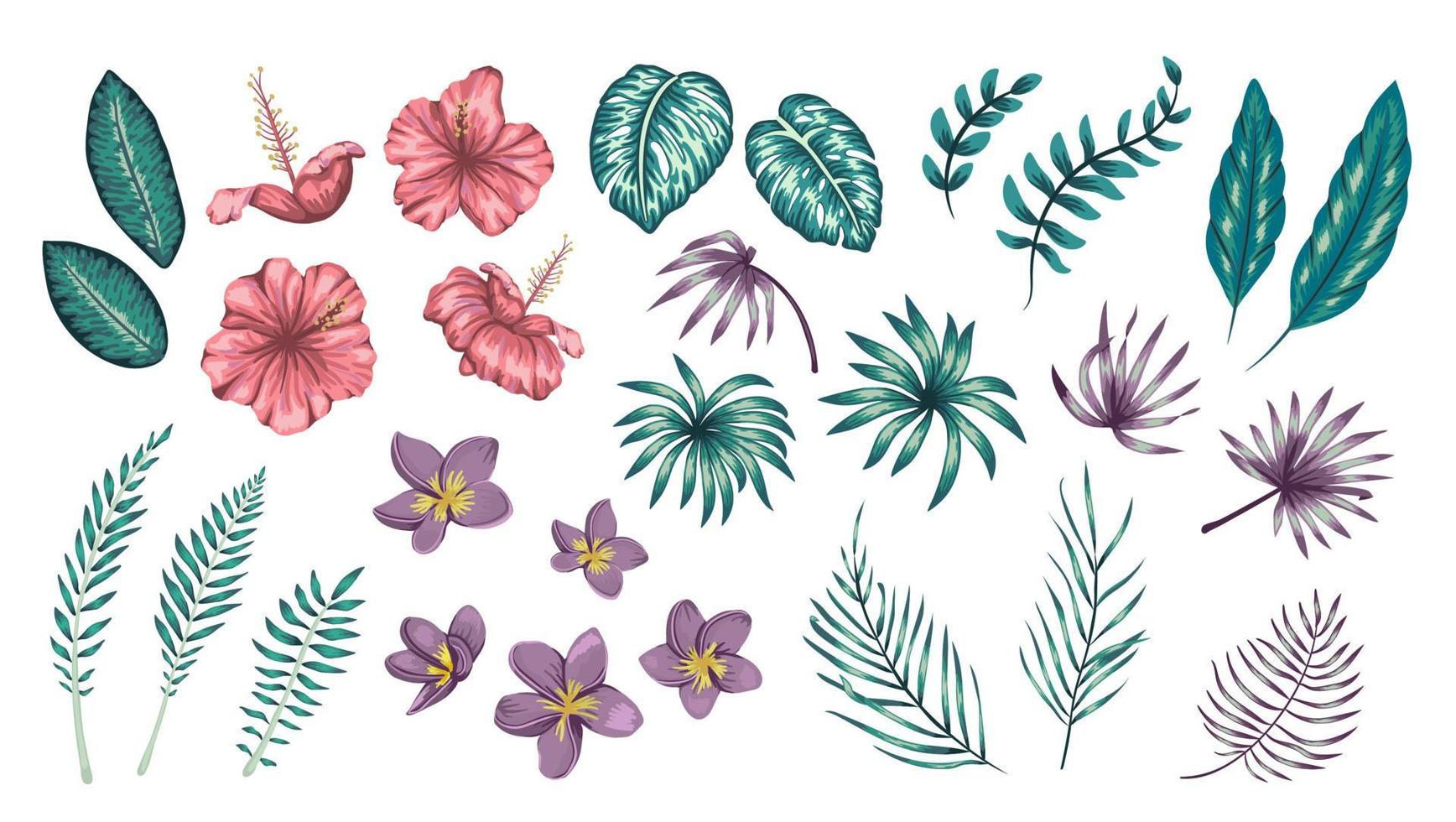 vector conjunto de flores tropicales y hojas aisladas sobre fondo blanco. colección realista brillante de elementos de diseño exóticos.