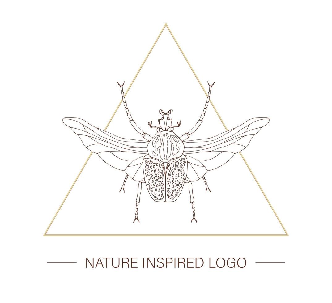 Vector hand drawn tropical goliath beetle with wings in a triangle. Insect themed logotype for natural