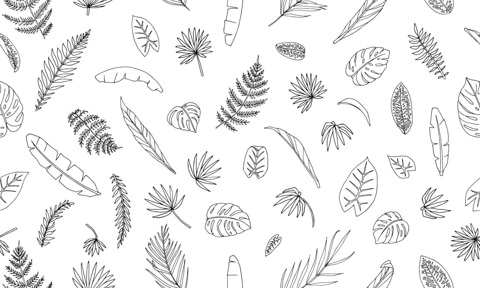 Vector seamless pattern of tropical plant leaves. Repeat background of jungle foliage. Hand drawn palm tree, banana, monstera, dieffenbachia, Terminalia, fern, alocasia, cordyline. Home tropic leaf