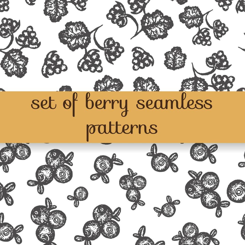 Vector seamless pattern of hand drawn black and white north berries. Repeating background with blueberry, cranberry and cloudberry