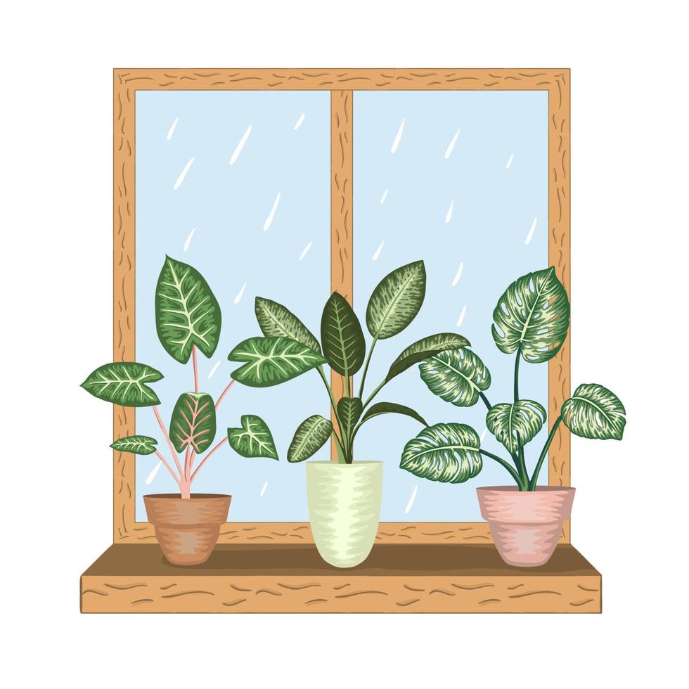 Window with tropical houseplants in pots. Rainy weather view. Watercolor style. vector