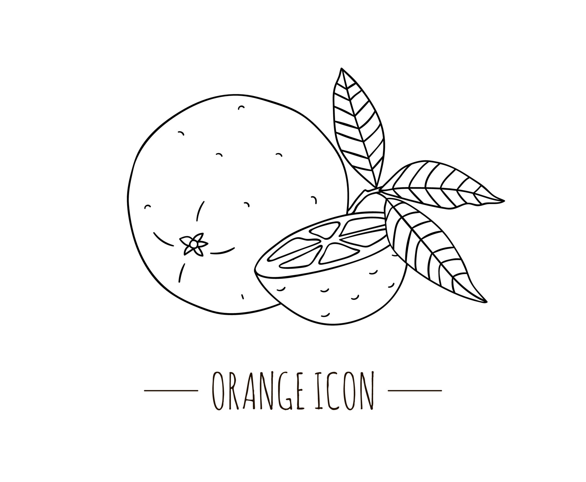 orange fruit black and white vector illustration 3415787 Vector