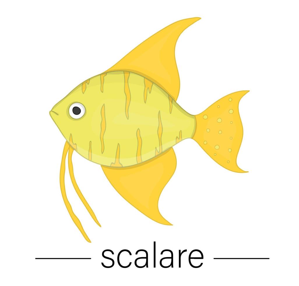 Vector colored illustration of aquarium fish. Cute picture of scalare for pet shops or children illustration