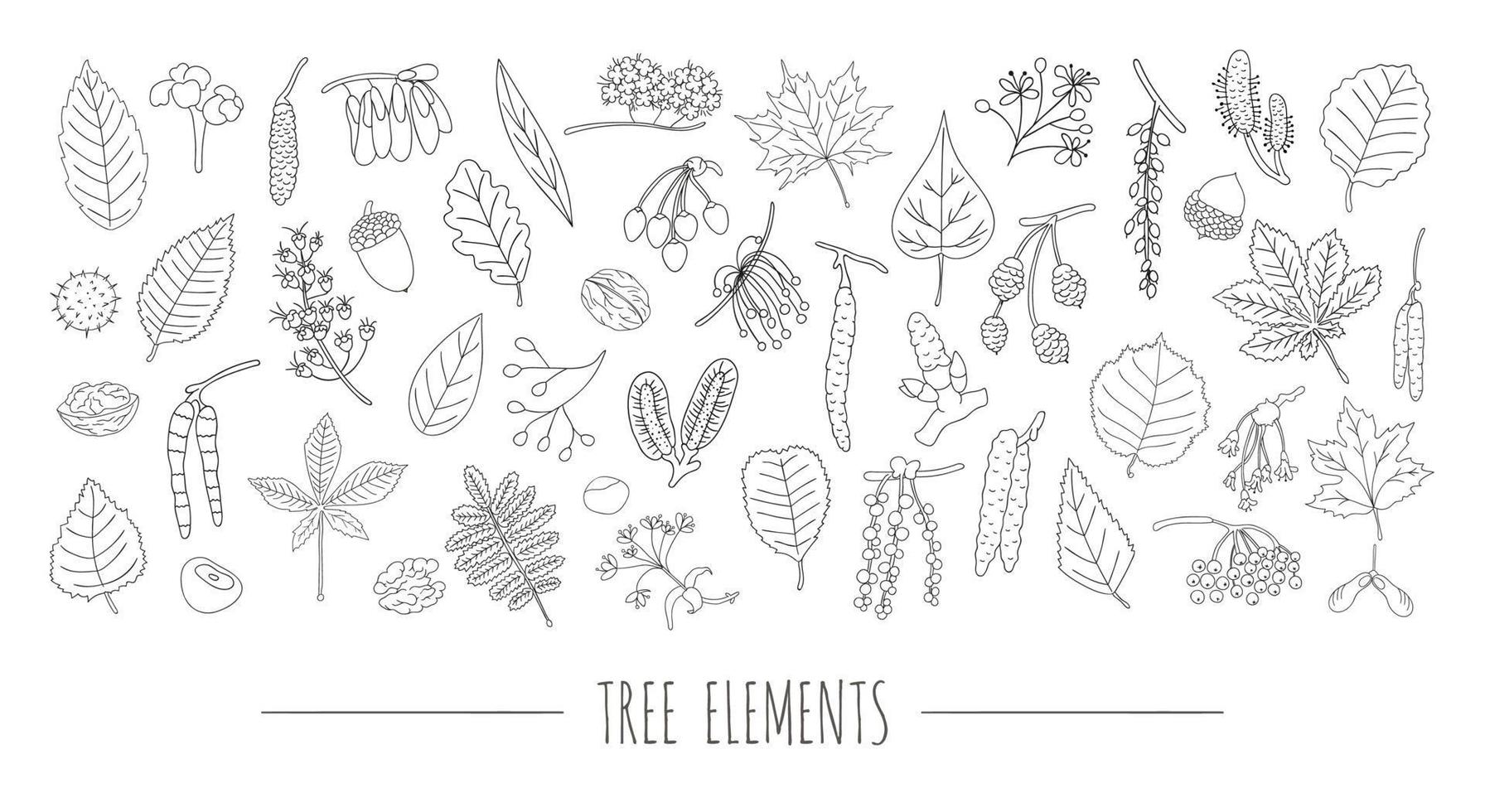 vector conjunto de elementos de árbol en blanco y negro aislado sobre fondo blanco. colorido paquete de abedul, arce, roble, serbal, castaño, avellana, tilo, aliso, álamo temblón, olmo, hojas de álamo