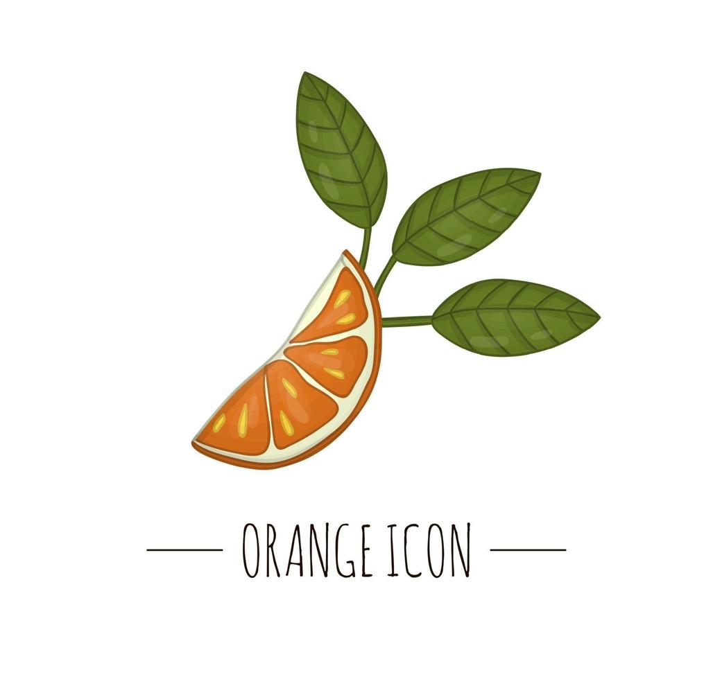 vector ilustración en color de naranja aislado sobre fondo blanco. icono de cítricos. concepto de fruta. Ilustración de alimentos frescos.